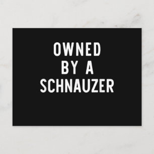 Im Besitz von Schnauzer Funny Dog Lover Weihnachts Ankündigungspostkarte