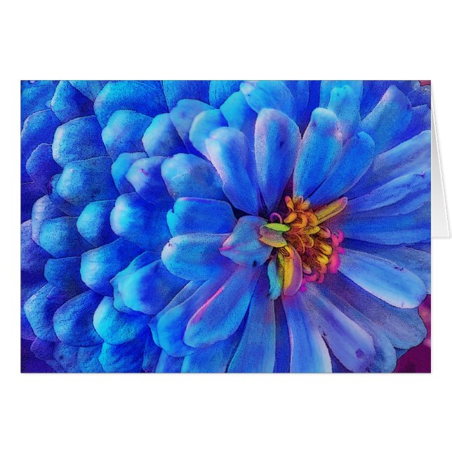 Im Blau Zinniakarte, Blume (Vorderseite (Horizontal))