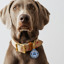 I'm Deaf Custom Text Pet Medical Alert Blue Black