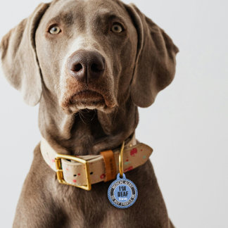 I'm Deaf Custom Text Pet Medical Alert Blue Black Haustiermarke