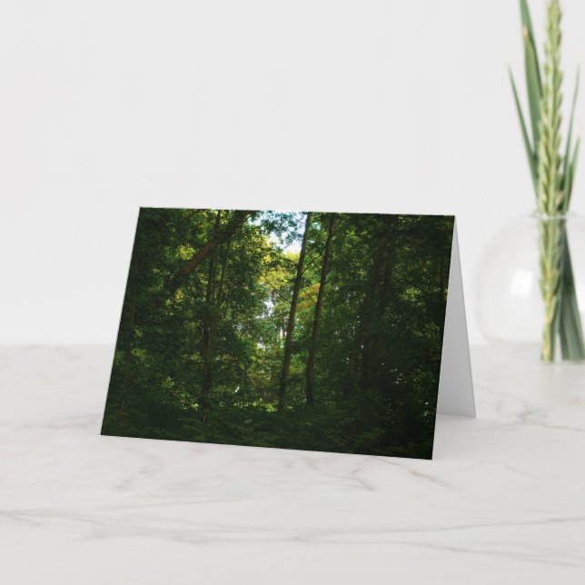 Im dunklen Wald Karte (Vorderseite)