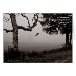 Im Flugzeug am Hinterwindwind