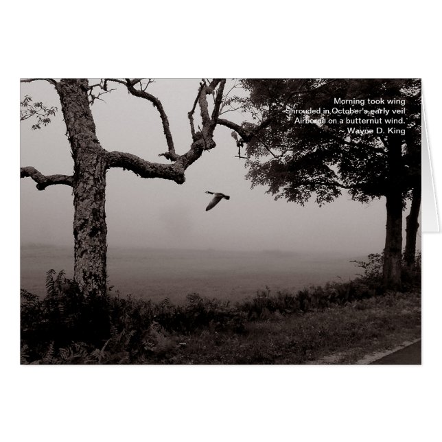 Im Flugzeug am Hinterwindwind (Vorderseite (Horizontal))