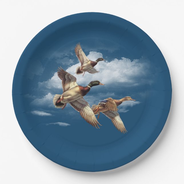 Im Flugzeug Mallard-Enten auf blau Pappteller (Vorderseite)