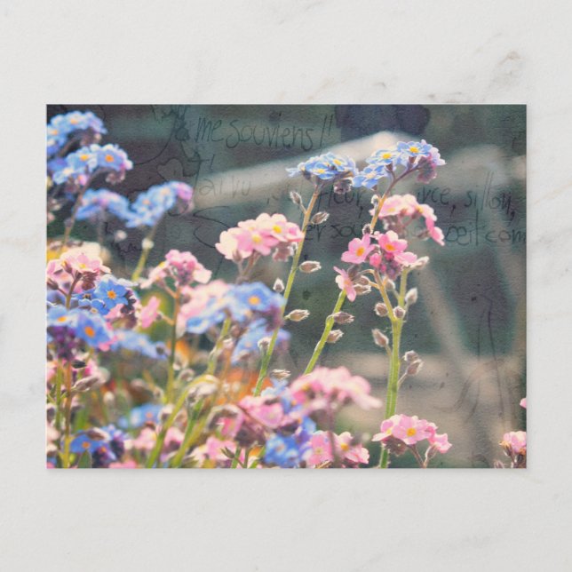 Im Früjahr Garten Postkarte (Vorderseite)