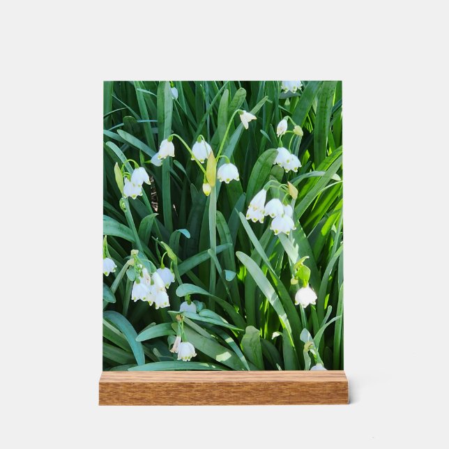 Im Garten... Acrylschild (Vorderseite)