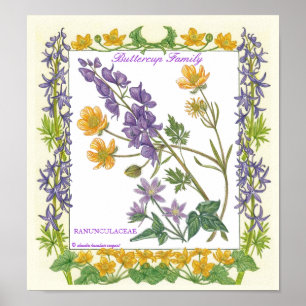 Im Garten ~ Buttercup Familienposter Poster