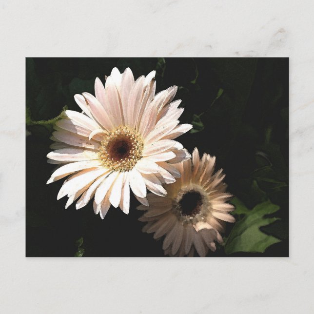 Im Garten Postkarte (Vorderseite)