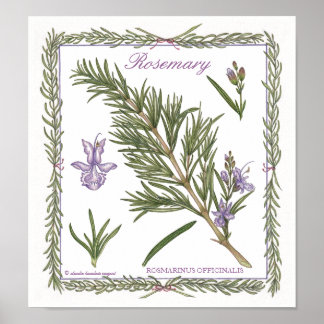 Im Garten ~ Rosemary Poster
