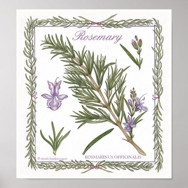 Im Garten ~ Rosemary Poster (Vorne)