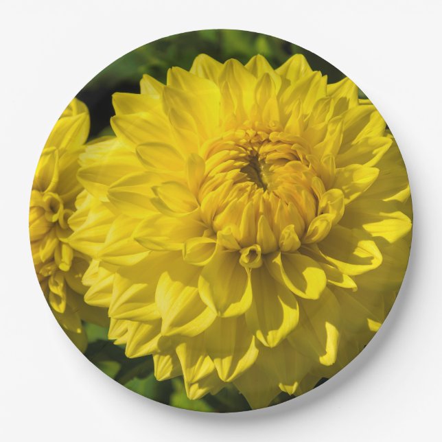 Im Garten von Dahlia 3 Pappteller (Vorderseite)