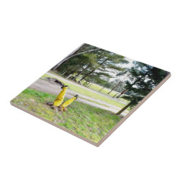 Im Garten wieder verloren Fliese