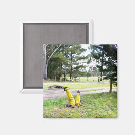 Im Garten wieder verloren Magnet