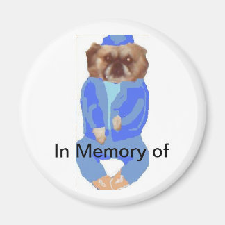 im Gedächtnis des Magnet