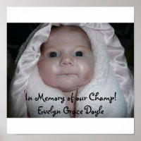 Im Gedächtnis unseres Champ! Evelyn Grace D..