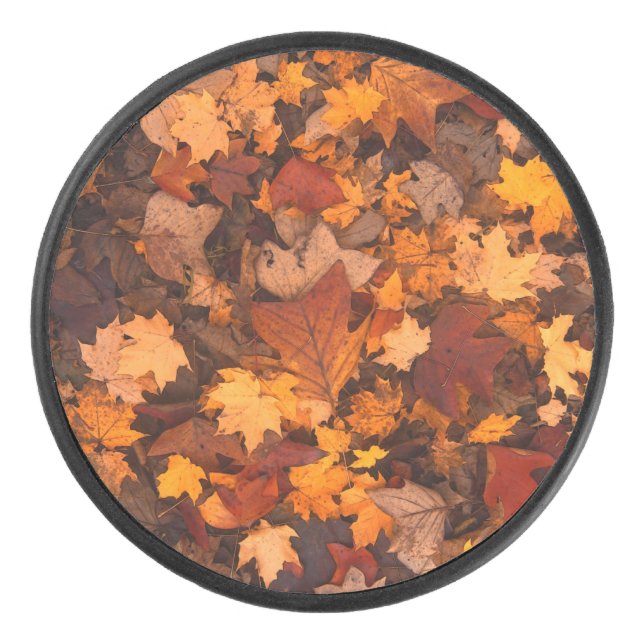 im Herbst Eishockey Puck (Vorderseite)