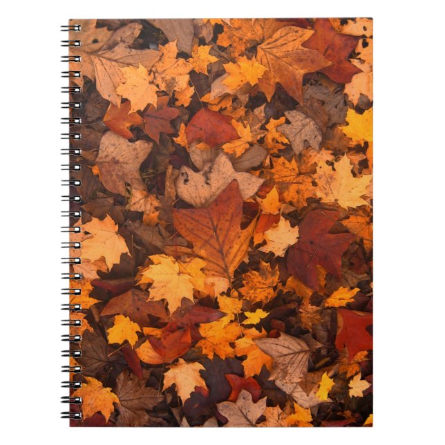 im Herbst Notizblock (Vorderseite)