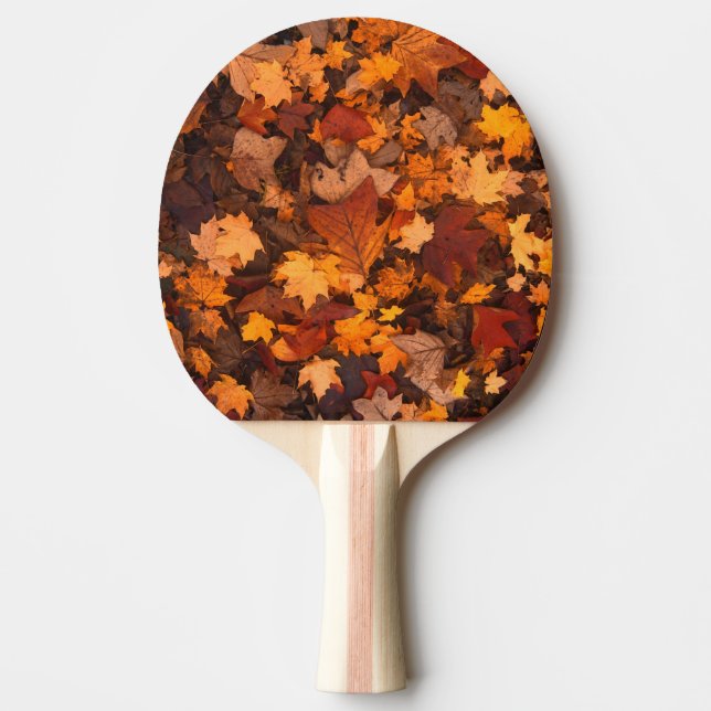 im Herbst Tischtennis Schläger (Vorderseite)