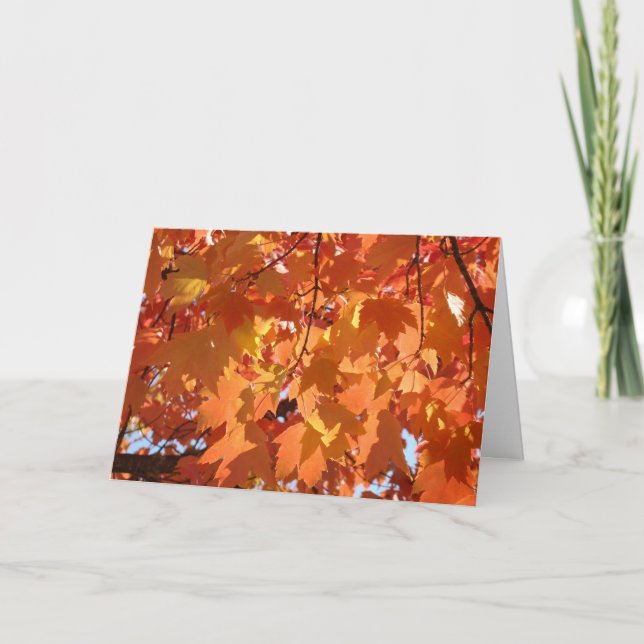 Im Herbst werden die Grußkarten von den Bäumen fal Karte (Vorderseite)