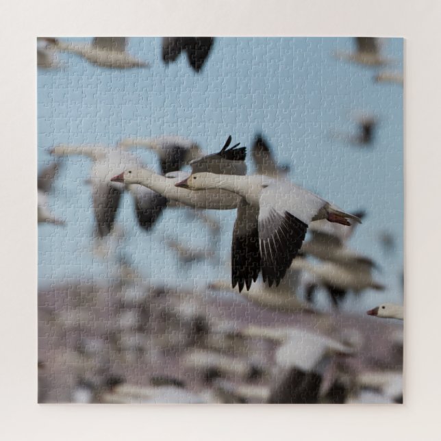 Im Himmel von Socorro schweben (Vertikal)