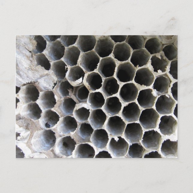 Im Inneren des Hives Postkarte (Vorderseite)