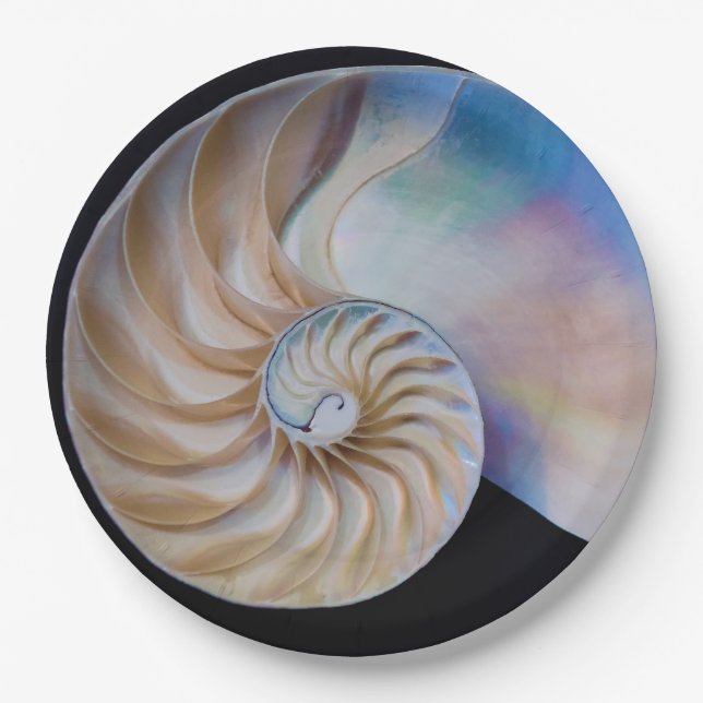 Im Inneren des Nautilus Pappteller (Vorderseite)