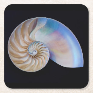 Im Inneren des Nautilus Rechteckiger Pappuntersetzer