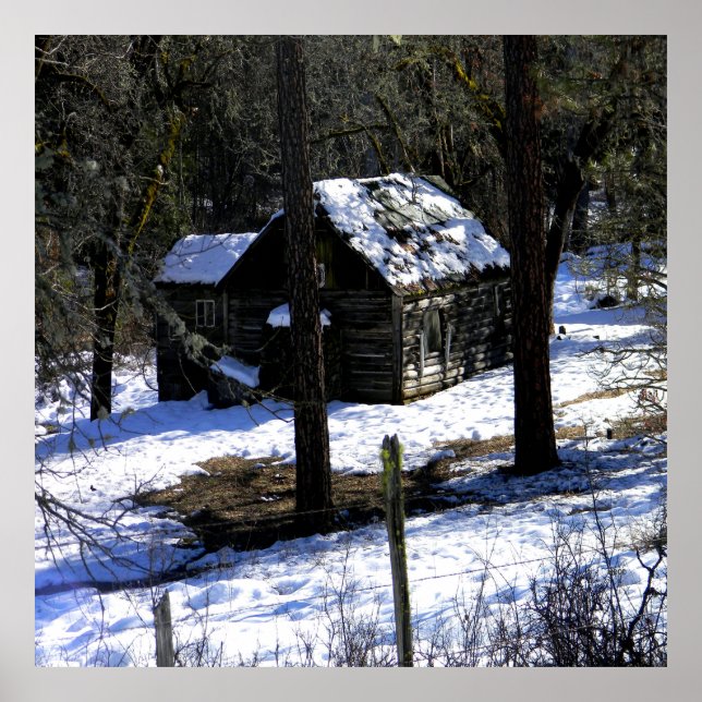 Im kalten Winter.... Poster (Vorne)