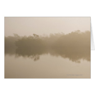 im Klingeln-Liebling