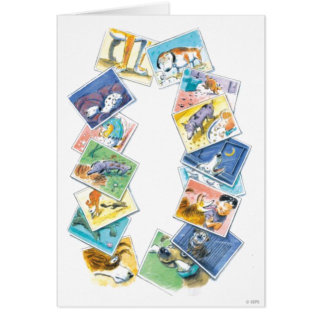 Im Leben eines Hundes (Vorne)