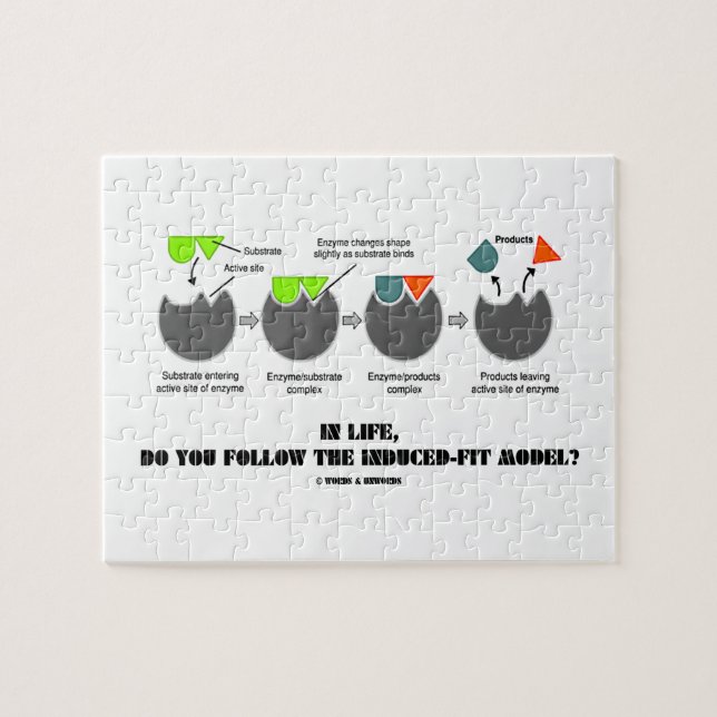 Im Leben folgen Sie dem Verursachen-Sitz Modell? (Horizontal)