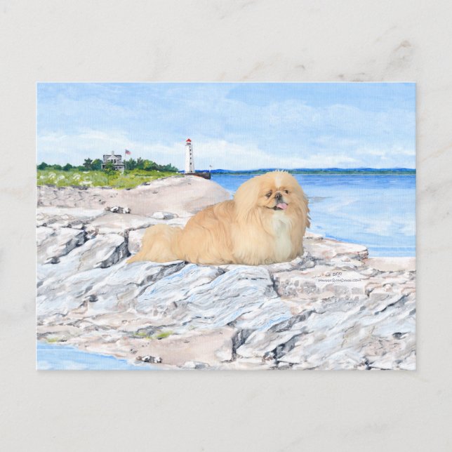 Im Leuchtturm Postkarte (Vorderseite)