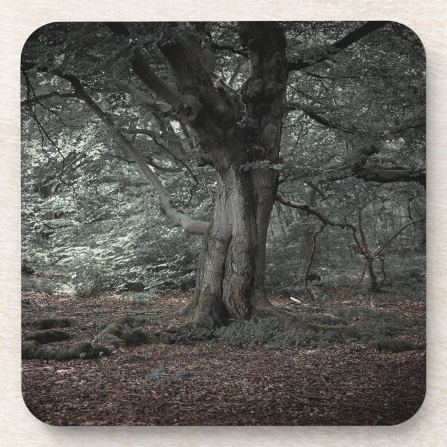 Im Märchenwald Getränkeuntersetzer (Vorderseite)