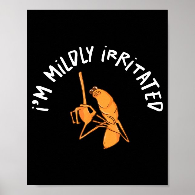 I'm Mildly Irritated Marcus The Worm Funny Marcus  Poster (Vorne)