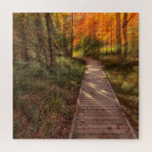 Im Moment ist das Puzzle des Acadia Nationalparks