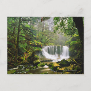 im Nationalpark Mount Field Postkarte