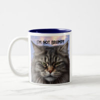 "I'm Not Grumpy" Cat-Tasse mit sarkastischer Desig