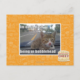 Im on ur dash postkarte