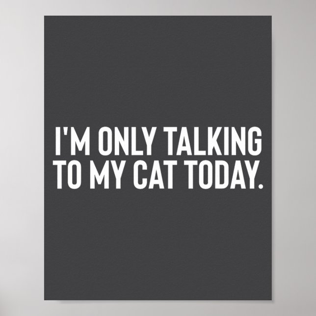 I'm Only Talking To My Cat Today  Poster (Vorne)