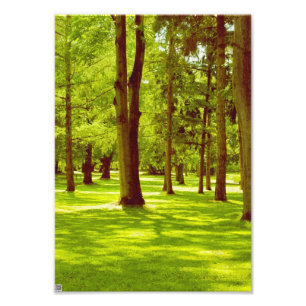 Im Park Fotodruck