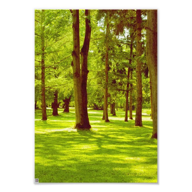 Im Park Fotodruck (Vorne)