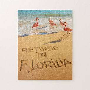 Im Ruhestand in Florida Flamingos am tropischen St