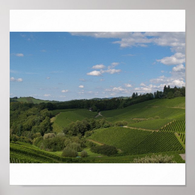 im Schwarzwald Poster (Vorne)