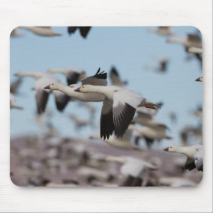 Im Socorrohimmel explodieren Mousepad