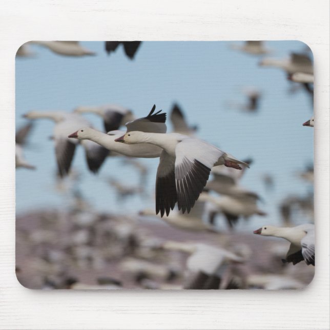 Im Socorrohimmel explodieren Mousepad (Vorne)