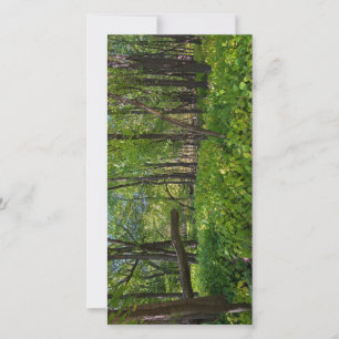 im Wald am Fort, der einen Staat Park Dankeskarte