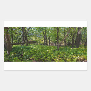 im Wald am Fort, der einen Staat Park Rechteckiger Aufkleber