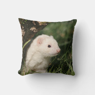 Im Wald. Ferret Kissen