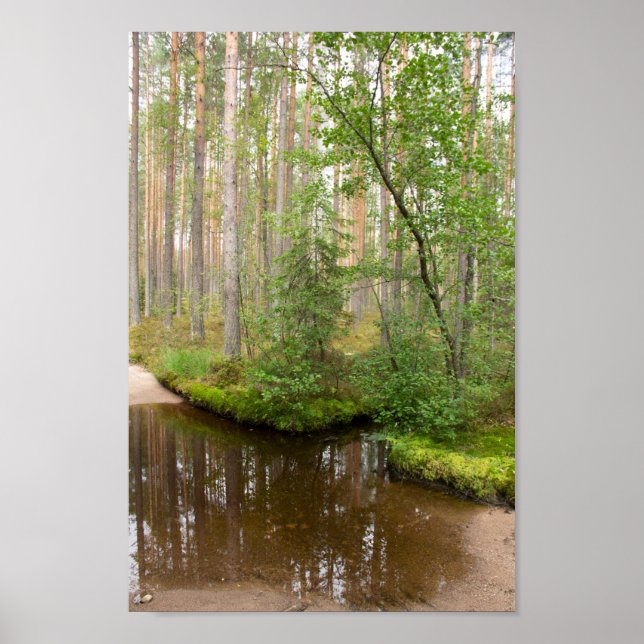 Im Wald nach dem Regen Poster (Vorne)