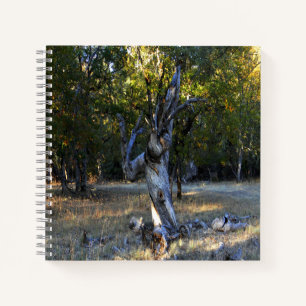 Im Wald.... Notizbuch